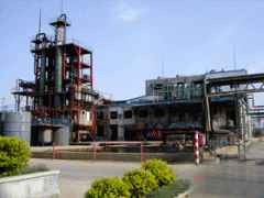 煙臺(tái)金?；? /></dt>
				<dd>煙臺(tái)金?；?/dd>
			</dl>
			
			<dl class=